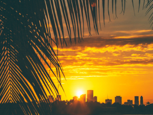 Miami city panorama view